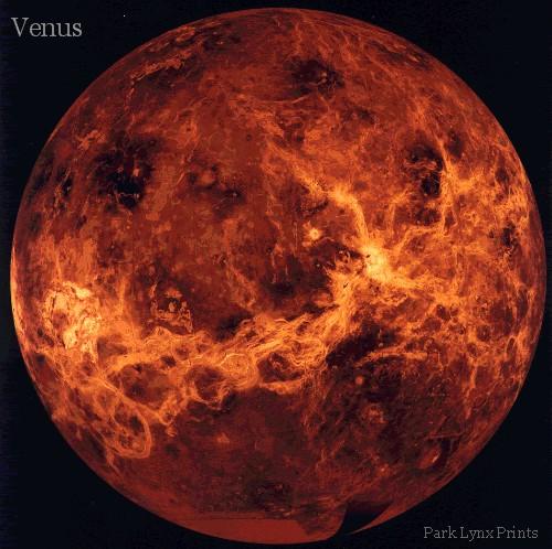 Venus Pic