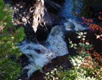 Cascades Waterfalls #545