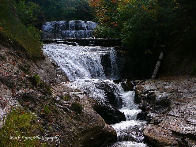 Sable Falls #128