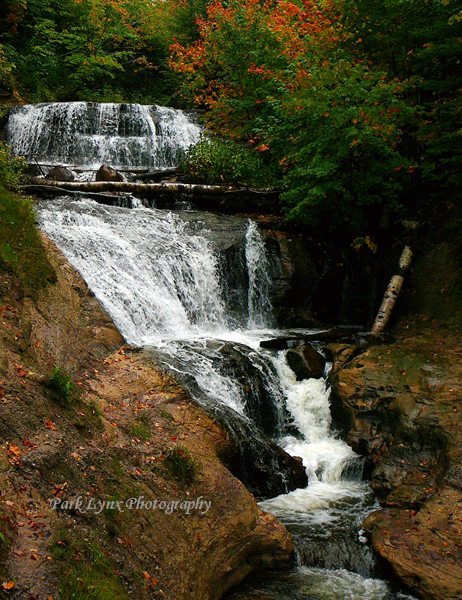 Sable Falls #224