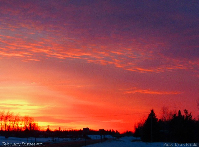 February Sunset #791