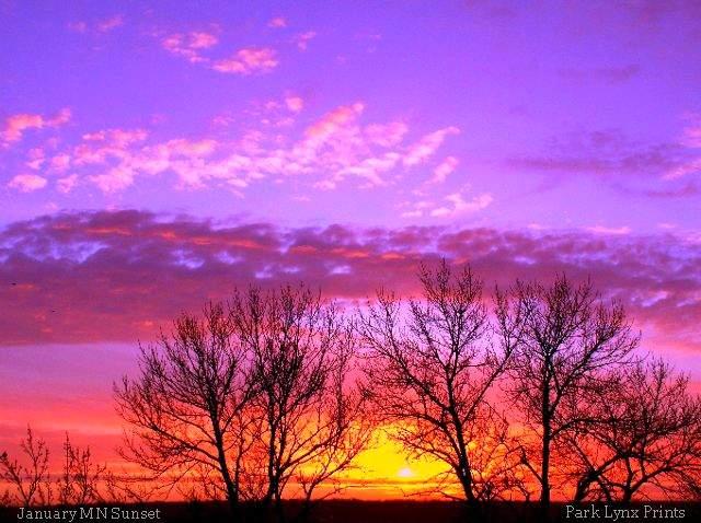 January MN Sunset #537