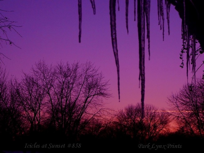 Sunset with Icicles #858