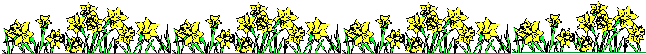 Daffodils.gif
