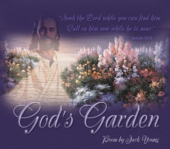 God S Garden By Jack Young
