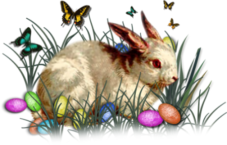Easter Bunny graphic