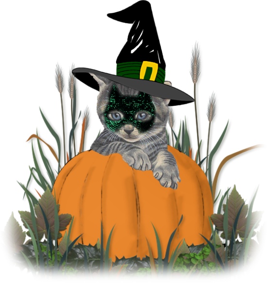 Halloween kitty graphic
