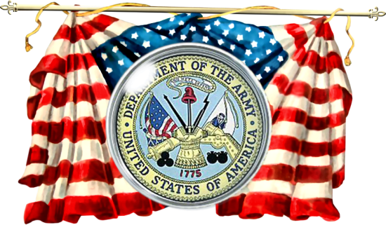 US Military Insignia graphic