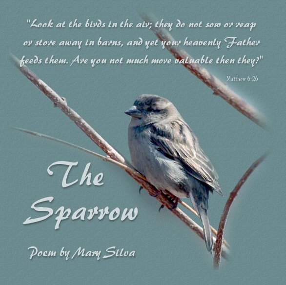 the sparrow mary