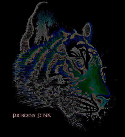tiger