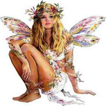 fairy