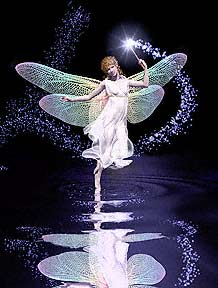fairy
