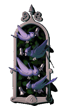 birds