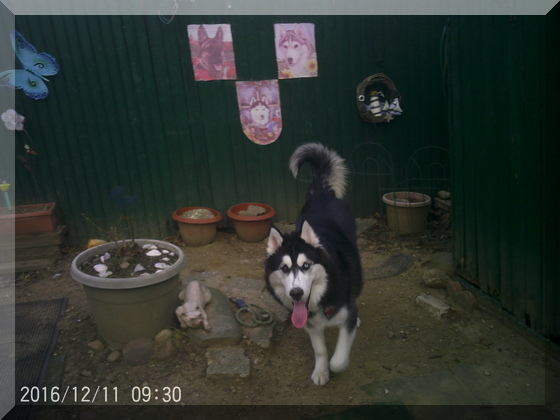 image of hunter in yard