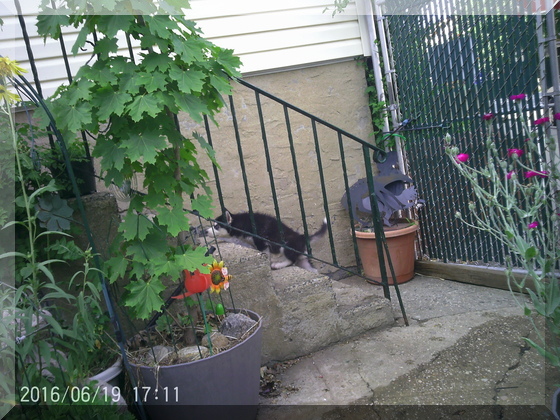 image of hunter on stairs