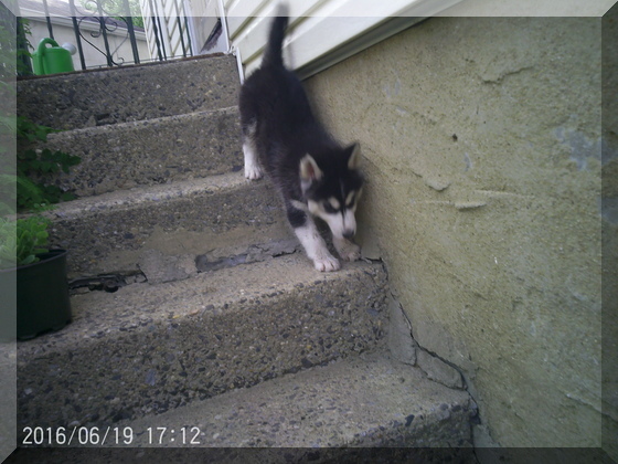 image of hunter going down the stairs