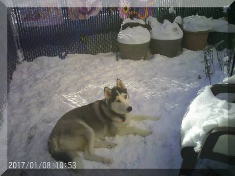 image of Thor in snow