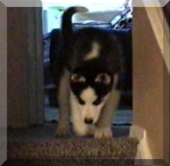 billy on stairs