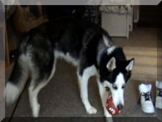 Image of billy holding a ball