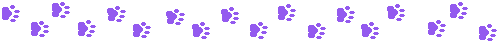 18 purple pawprints