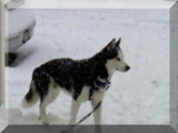 Image of billy standing in snow