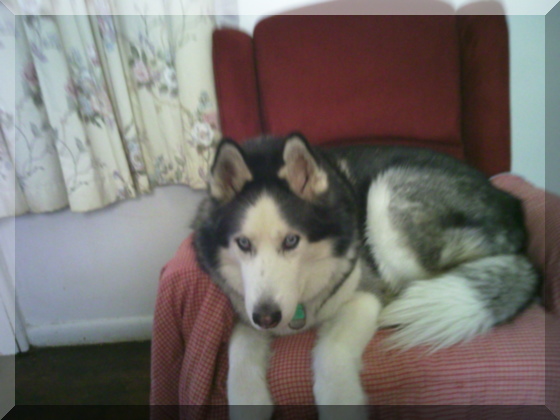 Image of billy in chair