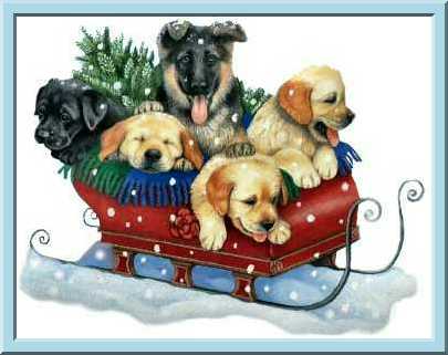 image of dogs on sled