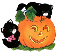 image of cat pumpkin