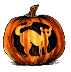 image pumpkin