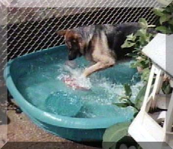 Shadow in pool picture