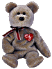 image of bear