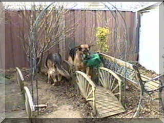 Image of simon on bridge