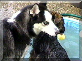 Image of billy and simon close in pool