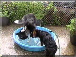 Image of billy and simon as pool fills