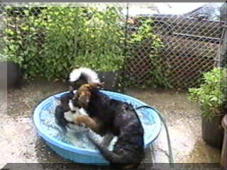 Image of simon in pool with billy