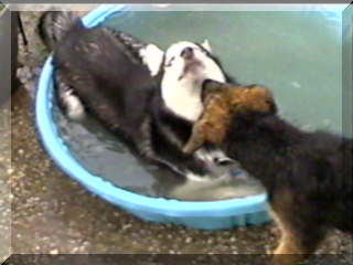 Image of billy in pool,simon outside touching billy's face 