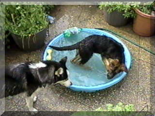 Image of simon in pool and billy