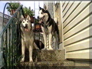 Image of santiki and billy on top step