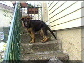 Image of simon on step