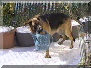 Image of simon and watercan