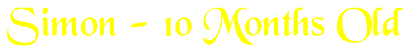 Image of Simon 10 months old banner in yellow