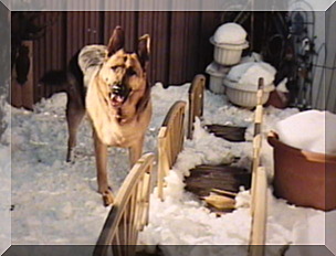 Image of shadow by bridge in snow