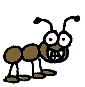 ant