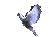 dove
