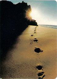 footprints