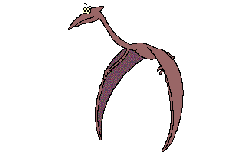 big bird