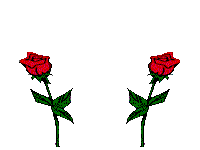 Index of /lois/flowers