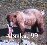 Alaska 99