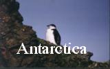 Antarctica