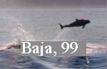 Baja, 99